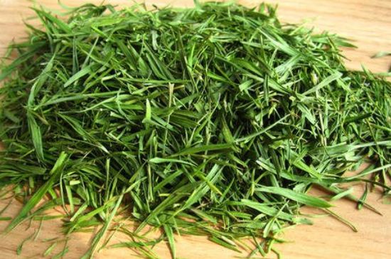 哪類人不適合喝石竹茶，石竹茶的功效與禁忌