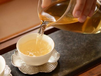 茶葉的專業(yè)知識，關(guān)于茶的基本知識大全