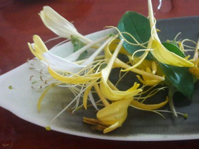 喝茶治口臭嗎，什么茶治口臭好？