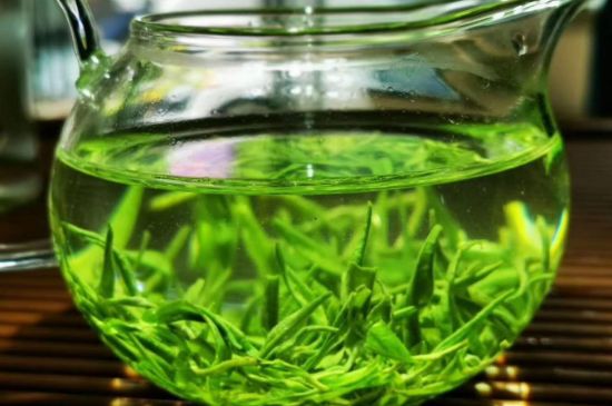 喝黃金茶禁忌，什么人不能喝黃金芽茶？