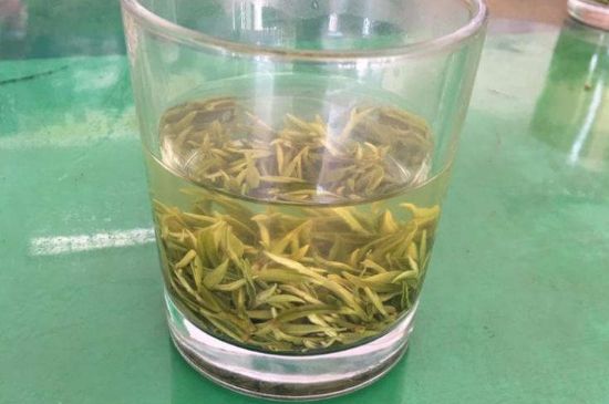 碧螺春正確泡法和飲用，碧螺春茶泡茶方法與溫度