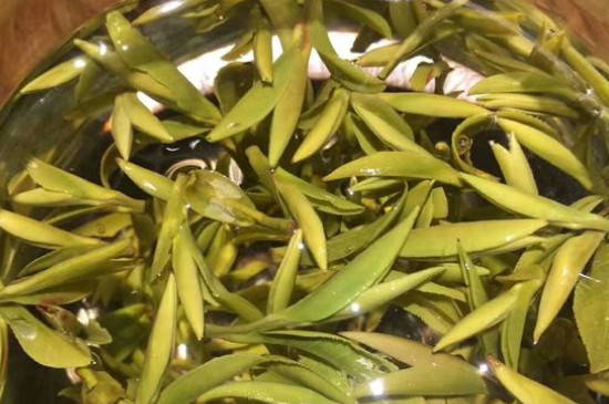 八大茶系都有哪幾種，八大茶系都是什么名字