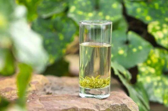 碧螺春沖泡三要素，碧螺春怎么泡才正確？