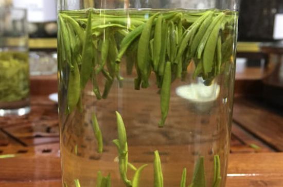 雀舌茶的副作用，雀舌茶什么人不能喝？