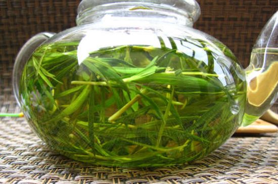 竹葉茶的禁忌，竹葉泡茶的功效禁忌