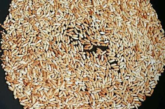 玄米茶是紅茶嗎，玄米茶怎么喝