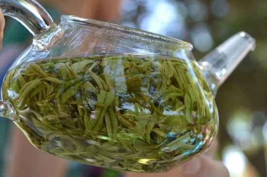 新手學(xué)泡茶的基本常識(shí)，從零開始學(xué)泡茶