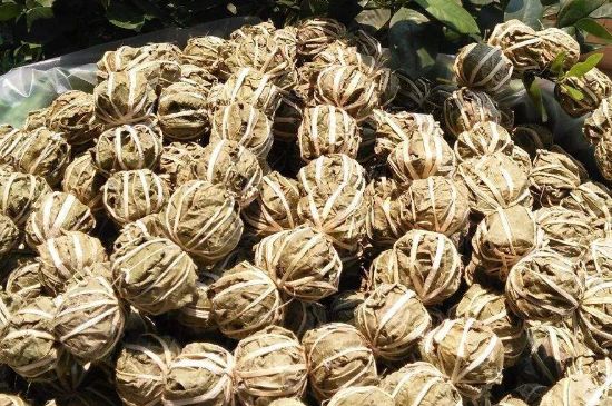 鷓鴣茶的禁忌，海南鷓鴣茶副作用