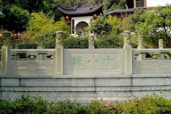 世界最貴的茶葉排行榜，十大最貴的茶