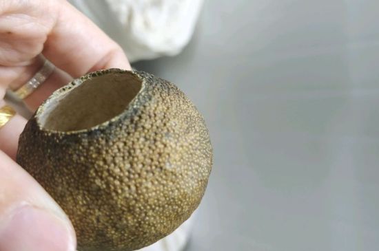 小青柑多少錢(qián)一盒，新會(huì)小青柑普茶價(jià)格一斤多少