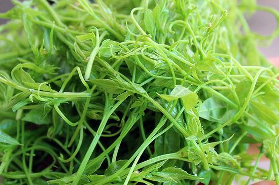 茅巖莓茶別名是什么，莓茶別名叫藤茶嗎？