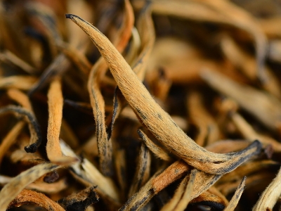 怎么知道什么茶葉適合自己，怎么判斷自己適合喝什么茶？