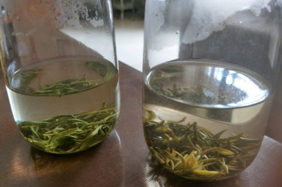 真假碧螺春泡水后區(qū)別，蘇州洞庭碧螺春怎樣鑒別好壞？