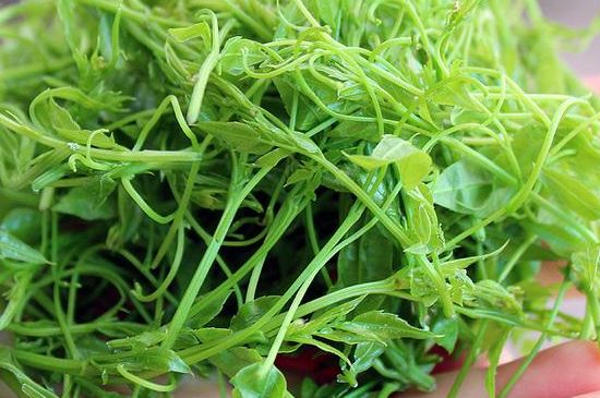 茅巖莓茶保質(zhì)期有多久，張家界莓茶存放時間長了還能喝嗎？