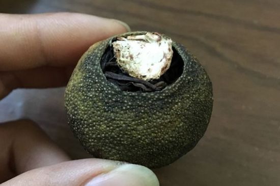 怎么知道小青柑是真的假的圖片，如何區(qū)分真假新會(huì)小青柑