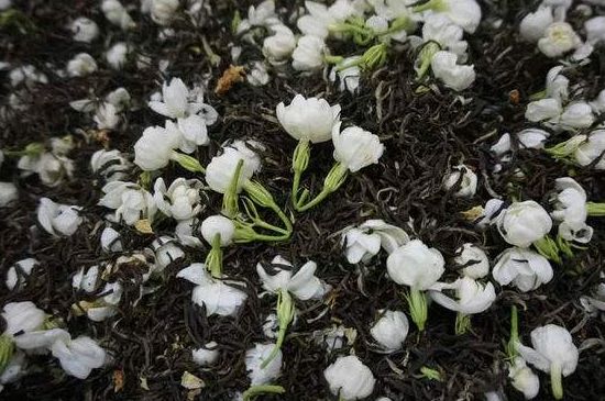 茉莉龍珠怎么做的，茉莉龍珠的制作工藝