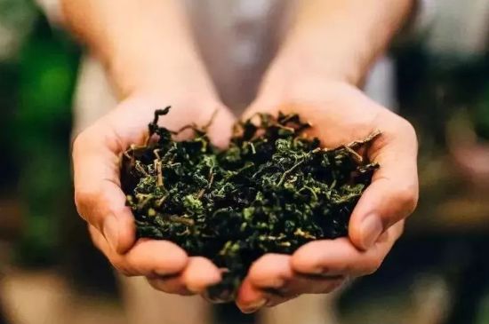 茶葉怎么炒制才香，怎樣炒茶葉更香？