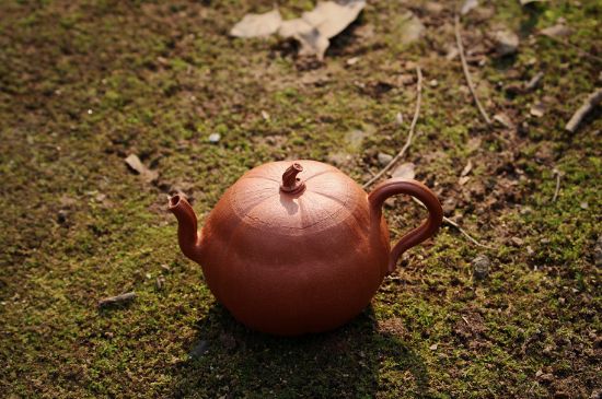 紫砂壺泡什么茶最佳，紫砂壺一般泡什么茶？