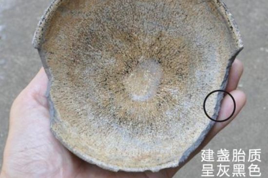 假建盞的特點，真假建盞區(qū)分帶圖