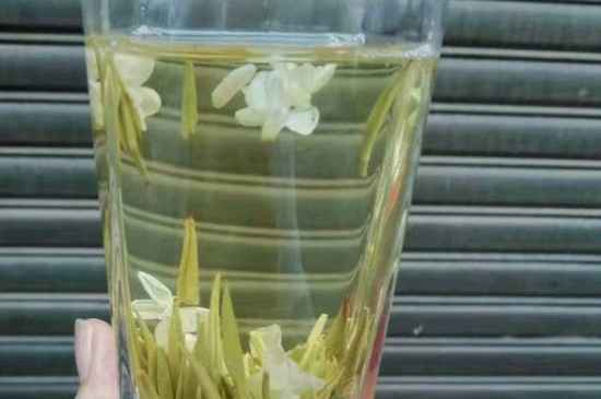 茉莉茶能天天喝嗎，茉莉花茶一周喝幾次