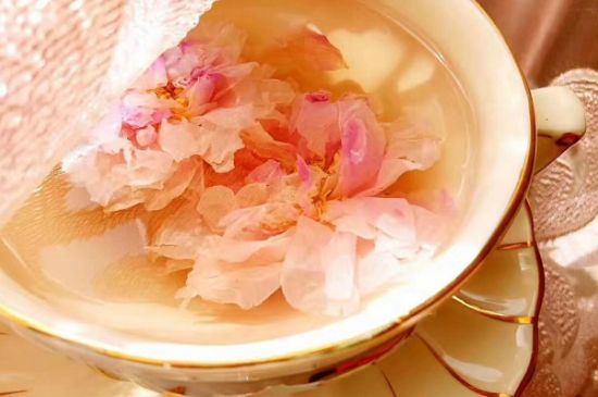 玫瑰花茶一周喝幾次，玫瑰花茶可以天天喝嗎？