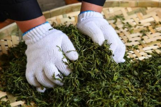 綠茶加工工藝流程圖，綠茶的加工制作包含哪幾個步驟？