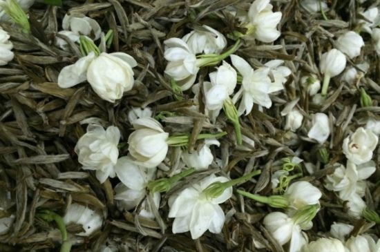 茉莉銀針口感，茉莉銀針是什么味道？