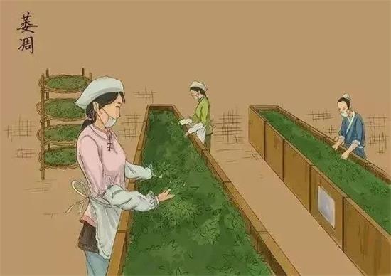 制茶八步驟，制茶工藝流程圖