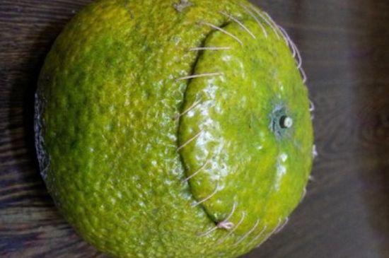 家庭自制柑普茶方法，小青柑制作9個(gè)步驟竅門（圖片）