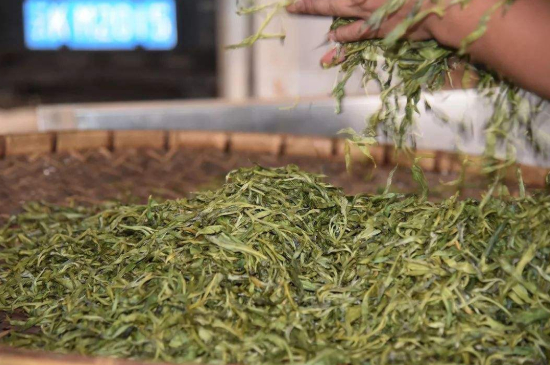 炒青綠茶與綠茶的區(qū)別，烘青和炒青哪個(gè)好喝？