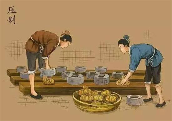 制茶八步驟，制茶工藝流程圖