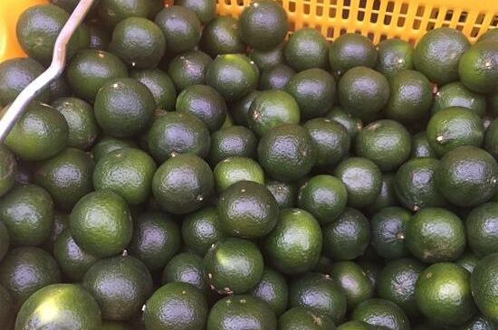 家庭自制柑普茶方法，小青柑制作9個(gè)步驟竅門（圖片）