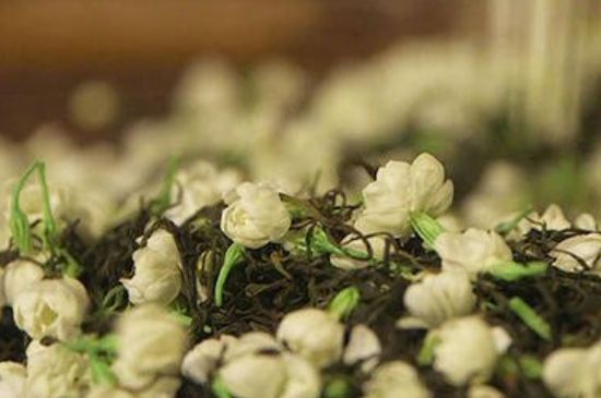 蒸茶器可以蒸花茶嗎，蒸茶器能用來蒸茉莉花茶嗎？