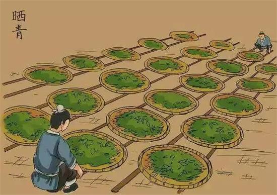制茶八步驟，制茶工藝流程圖