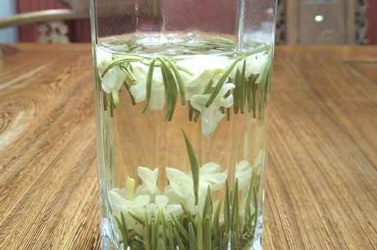 女孩喝茉莉茶的好處，茉莉茶葉的功效與禁忌