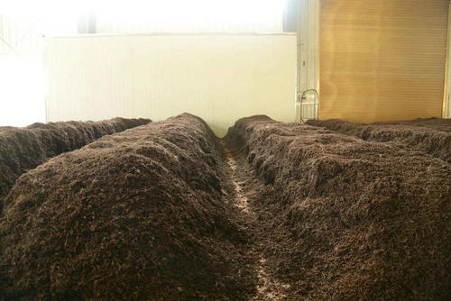 制茶八步驟，制茶工藝流程圖