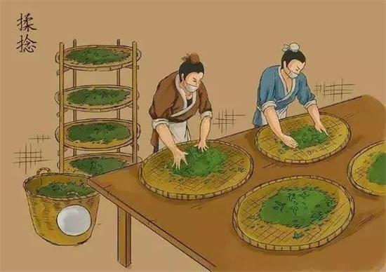 制茶八步驟，制茶工藝流程圖