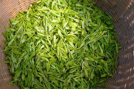 烏牛早和龍井的區(qū)別圖片，龍井43號(hào)和烏牛早茶的對(duì)比