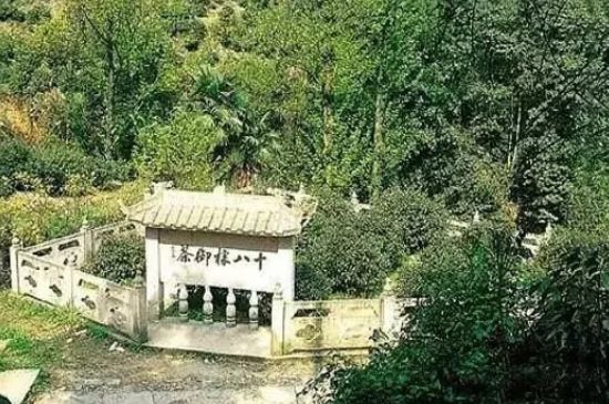 母樹大紅袍給誰喝了，為什么母樹大紅袍叫三棵六株？