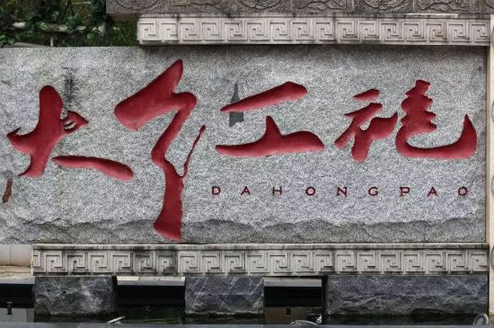 母樹大紅袍給誰喝了，為什么母樹大紅袍叫三棵六株？