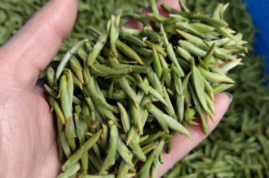 龍井茶好壞的鑒別圖片，如何區(qū)別龍井茶的好壞？