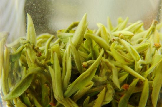 碧螺春為什么泡水渾濁，碧螺春茶葉泡水感覺很臟是混濁的