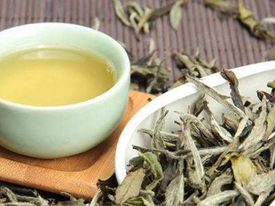 大紅袍好還是白茶好，福鼎白茶和大紅袍哪個貴？