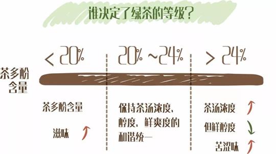 什么綠茶口味重口感濃郁，口味比較重的綠茶都有那些？