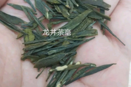 西湖龍井茶毫和發(fā)霉區(qū)別圖片，長(zhǎng)霉的龍井茶葉會(huì)是什么樣？