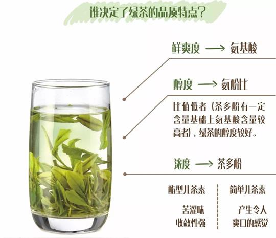 什么綠茶口味重口感濃郁，口味比較重的綠茶都有那些？