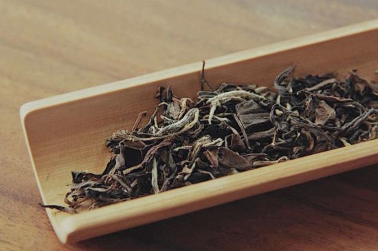 怎么撬老白茶茶餅不容易碎，福鼎白茶如何撬茶方法