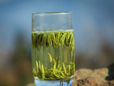 竹葉青茶怎么樣，檔次較高味道略苦價(jià)格比較貴