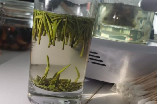 金壇雀舌算不算好茶，金壇雀舌屬于什么檔次茶葉？