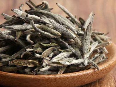 白茶有哪些品種排名，<a href=http://www.kptqqz.com/fenlei/baicha/ target=_blank class=infotextkey>白茶的種類(lèi)</a>大全